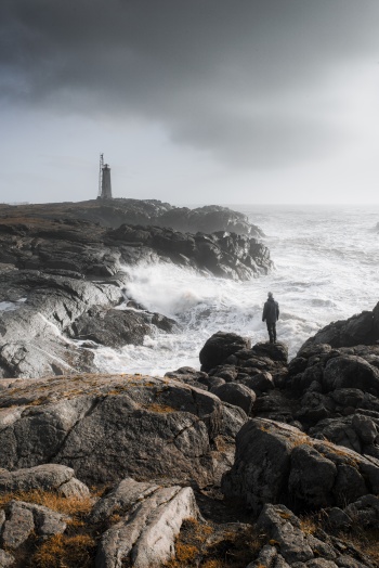 Dem Sturm trotzen