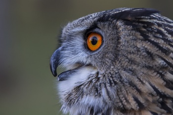 Augen-Blick-1