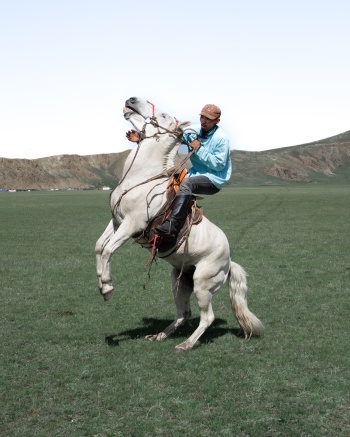 Horseman