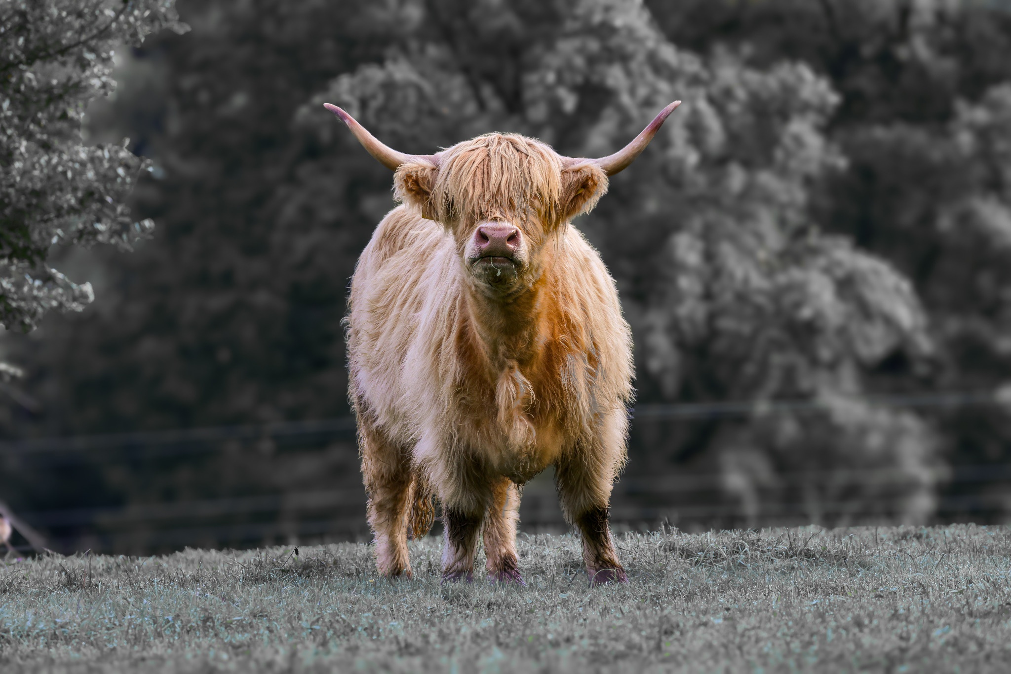 Ein Blick, zugleich sanft und durchdringend.