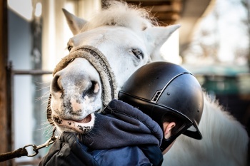 When Love Is Mutual, The Heart Rests