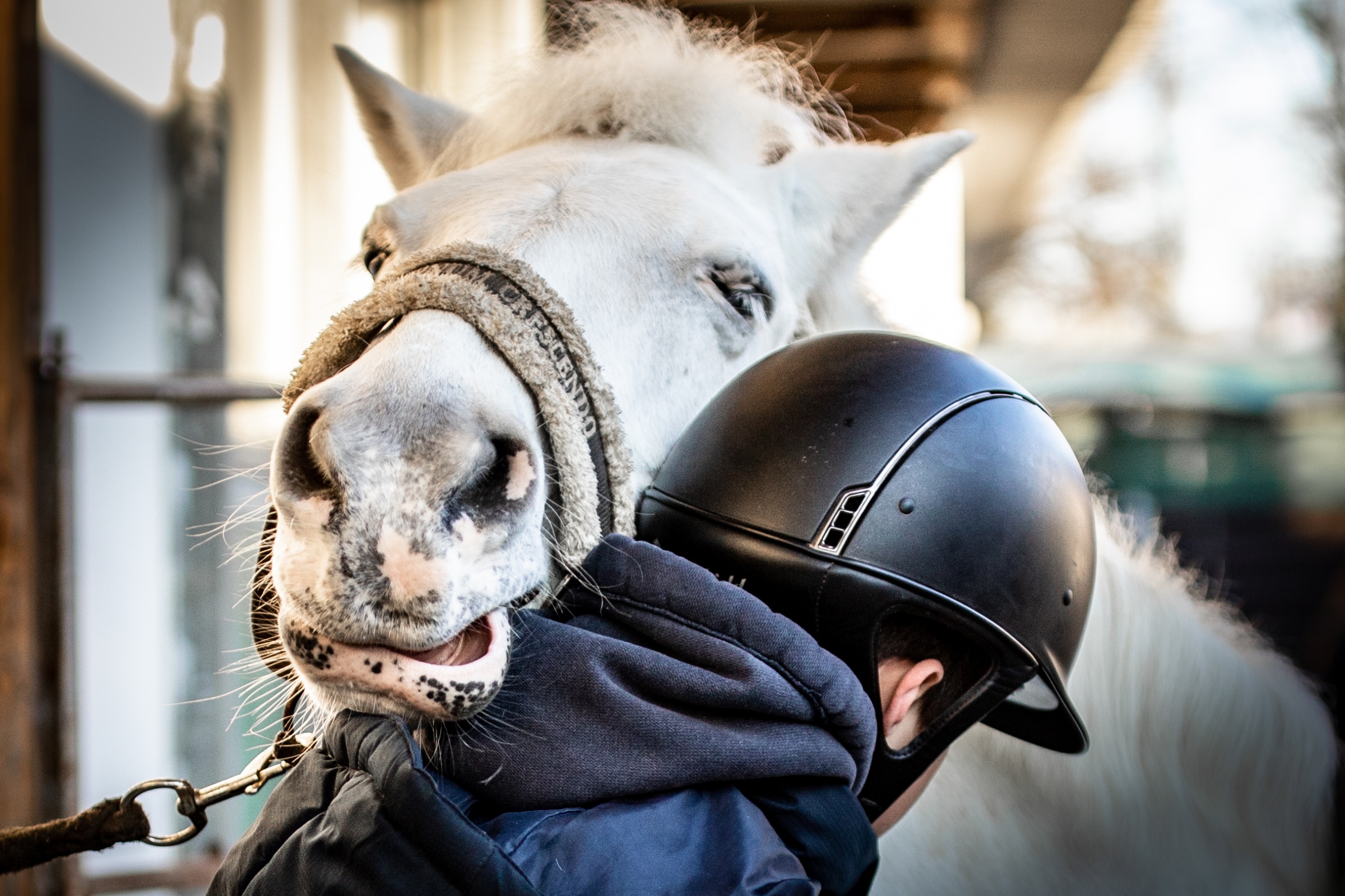 When Love Is Mutual, The Heart Rests