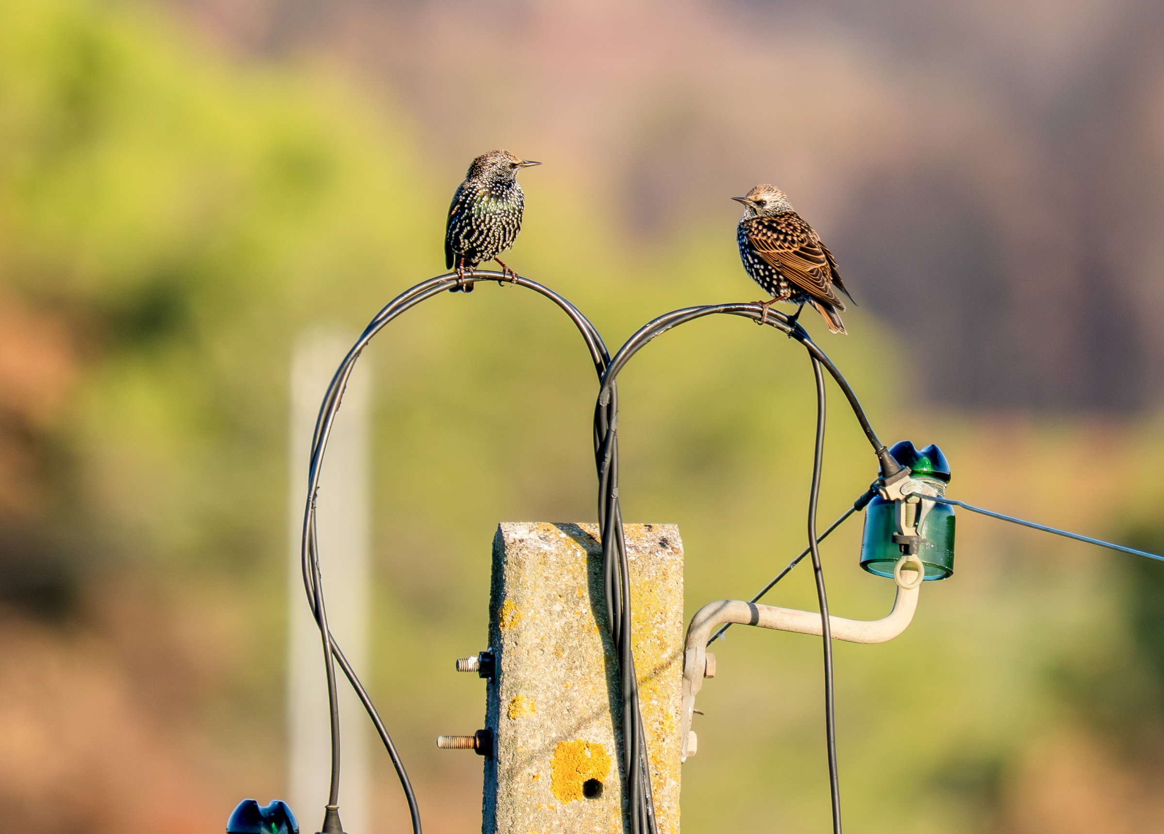 Kommunikation der anderen Art