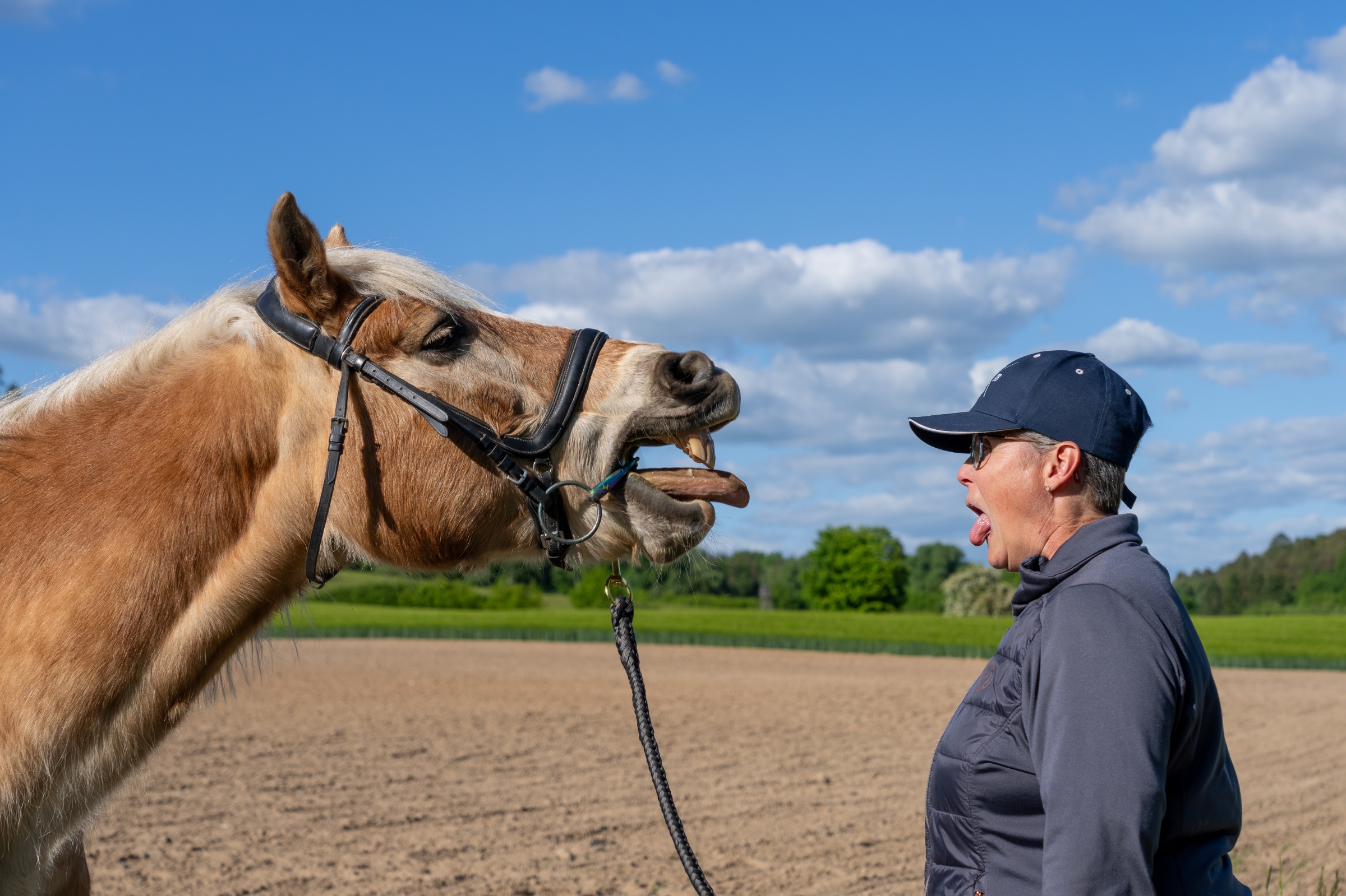 Emotionales Zwiegespräch