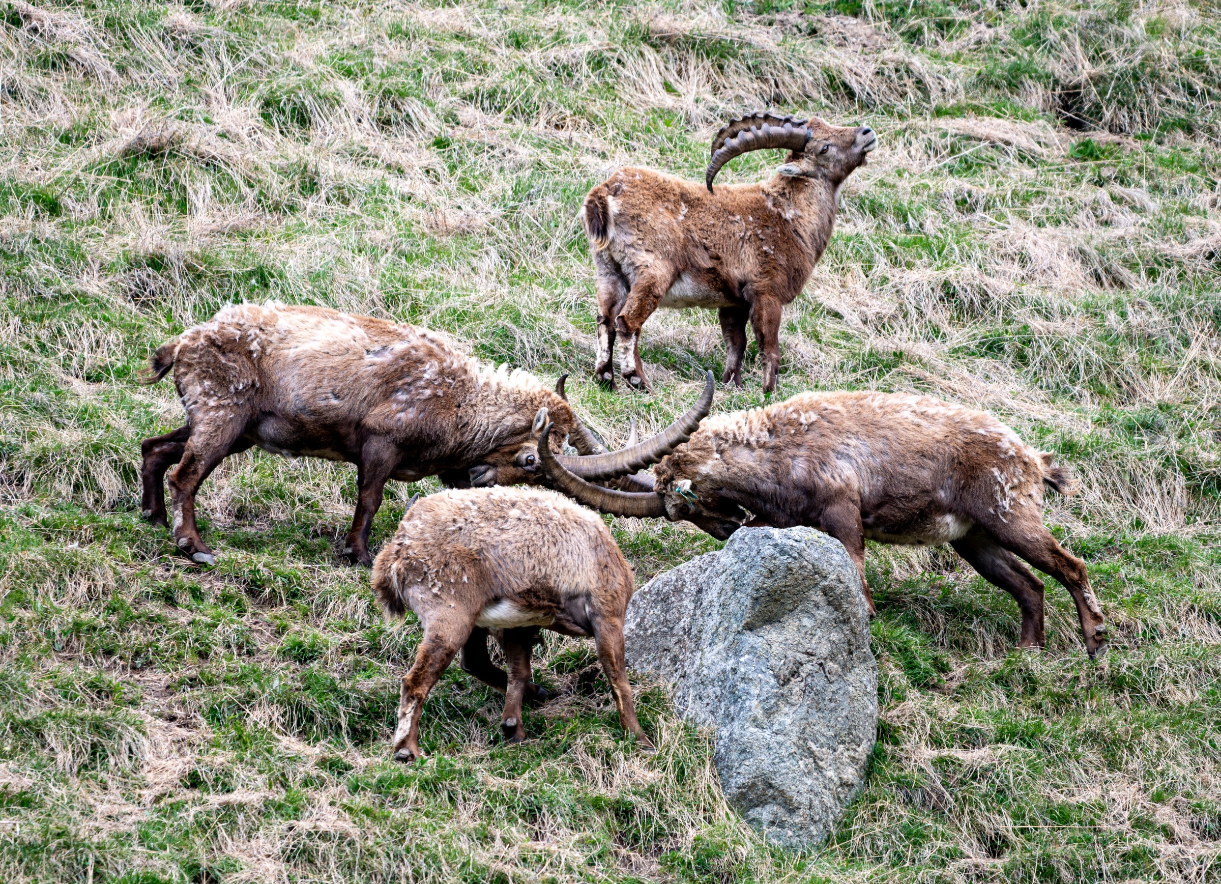 Verspielte Entdeckungsfreude