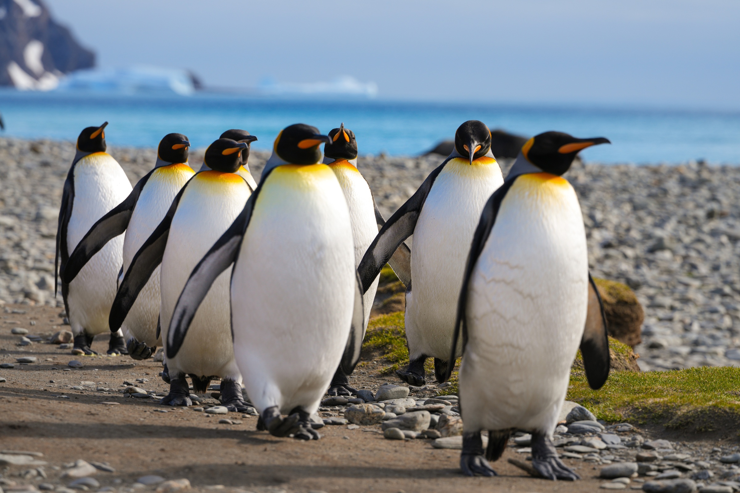 Im Gleichschritt marsch...