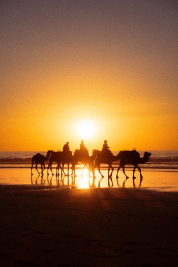 رØÙ„Ø© الØÙŠØ§Ø© (Rihlat al-Hayat - Reise des Lebens)