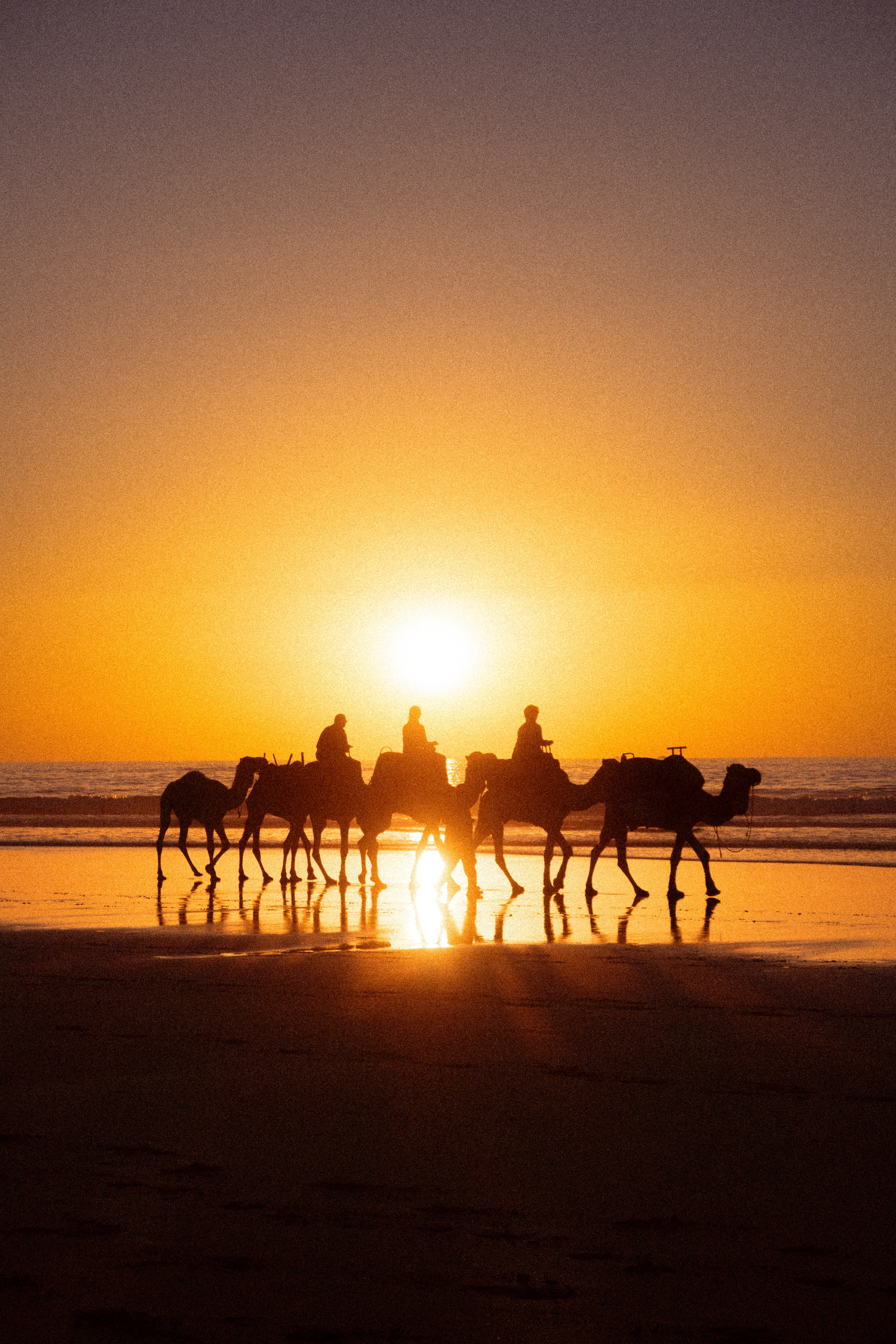 رحلة الحياة (Rihlat al-Hayat - Reise des Lebens)