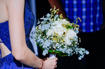 Blütenglanz in Blau