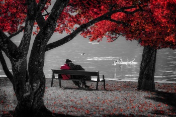 Zwischen Herbst und Ewigkeit