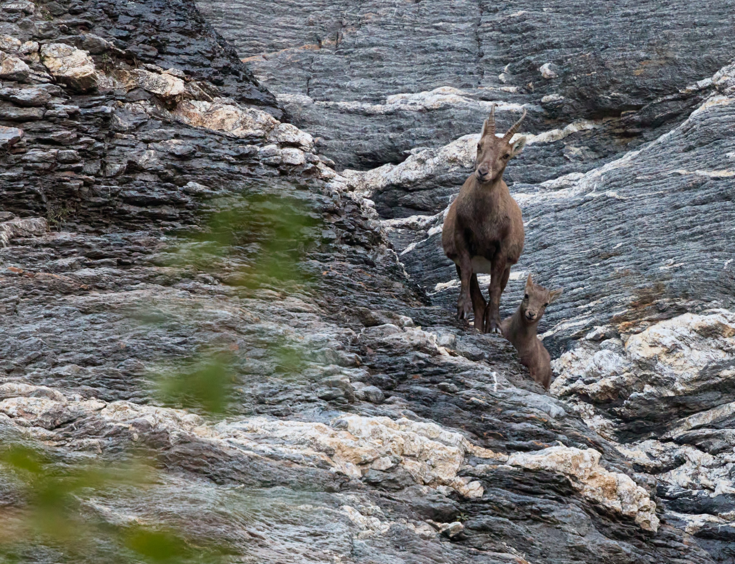 Wenn Emotionen süss sind
