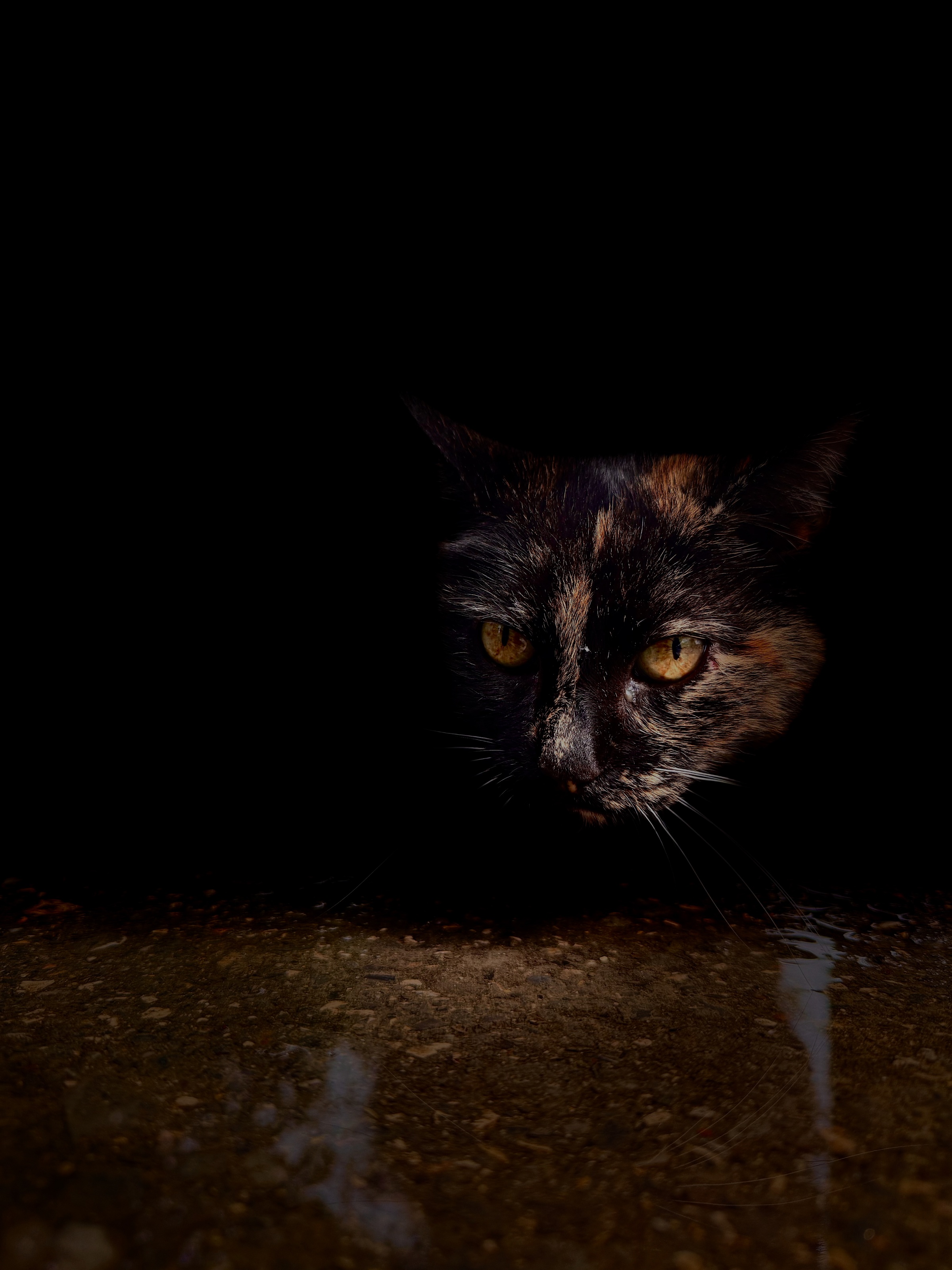 "The suspended moment"