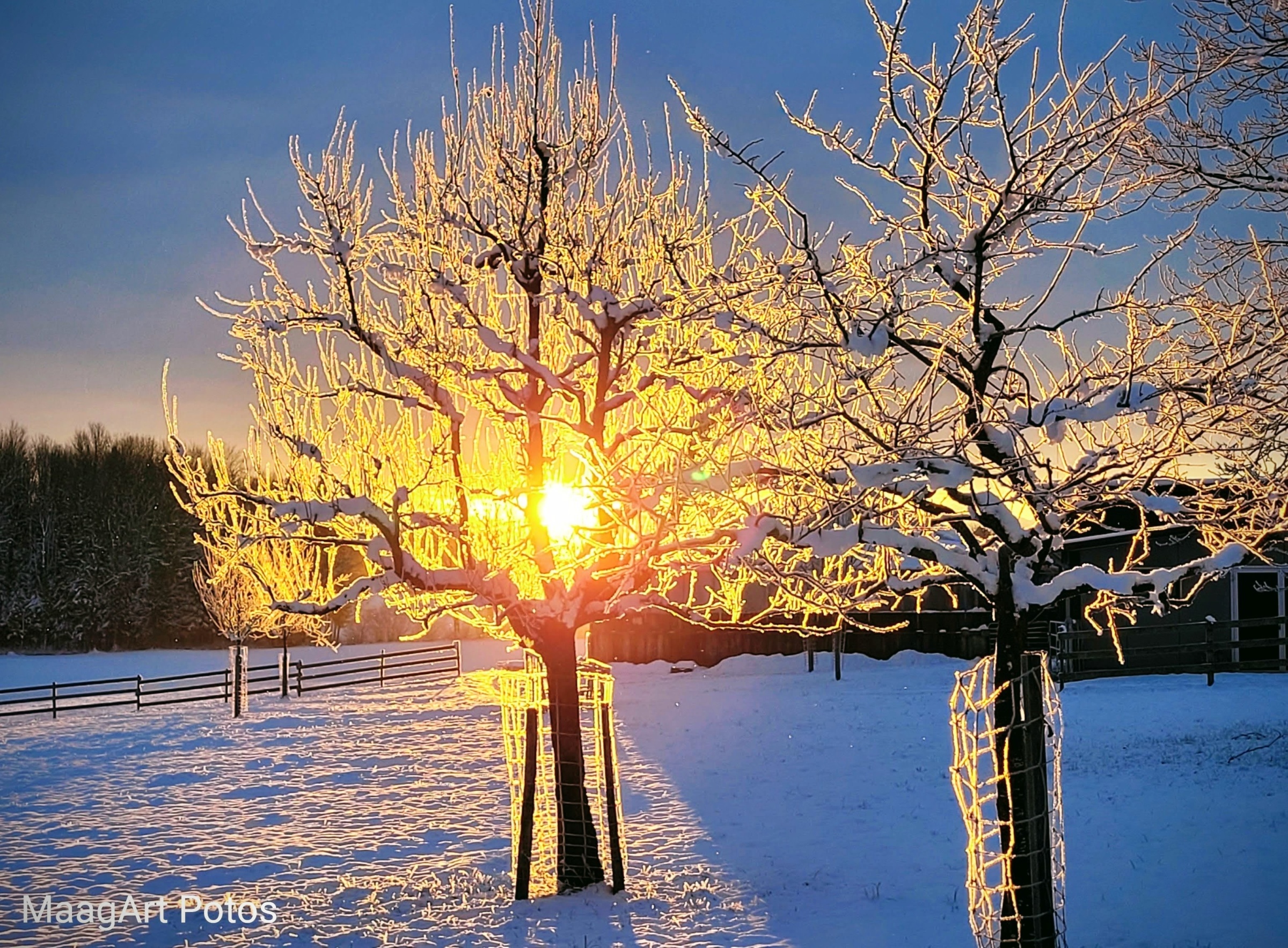 Winter Morning with sunrise