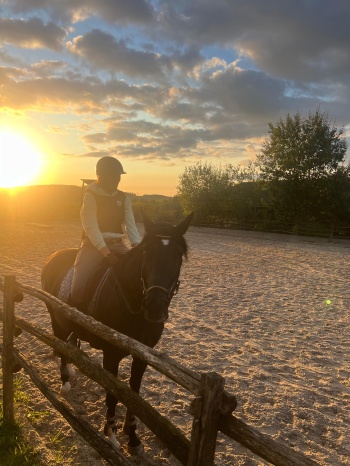 Sonnenuntergang auf dem Rücken des Pferdes