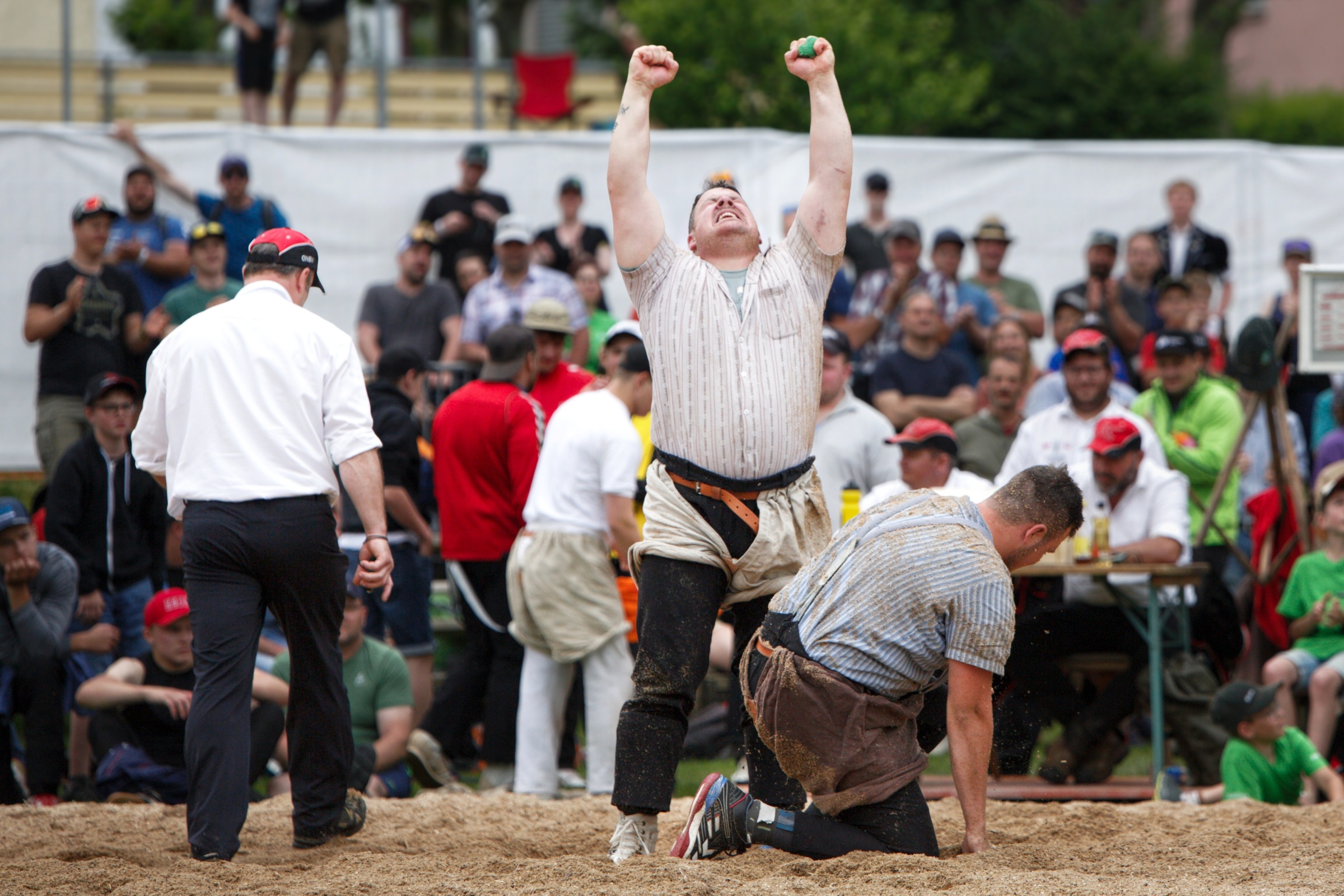Schwingen - Festsieger