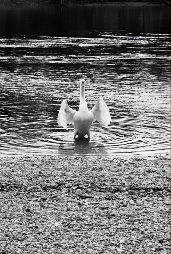 Was die Wunden nicht nehmen konnten