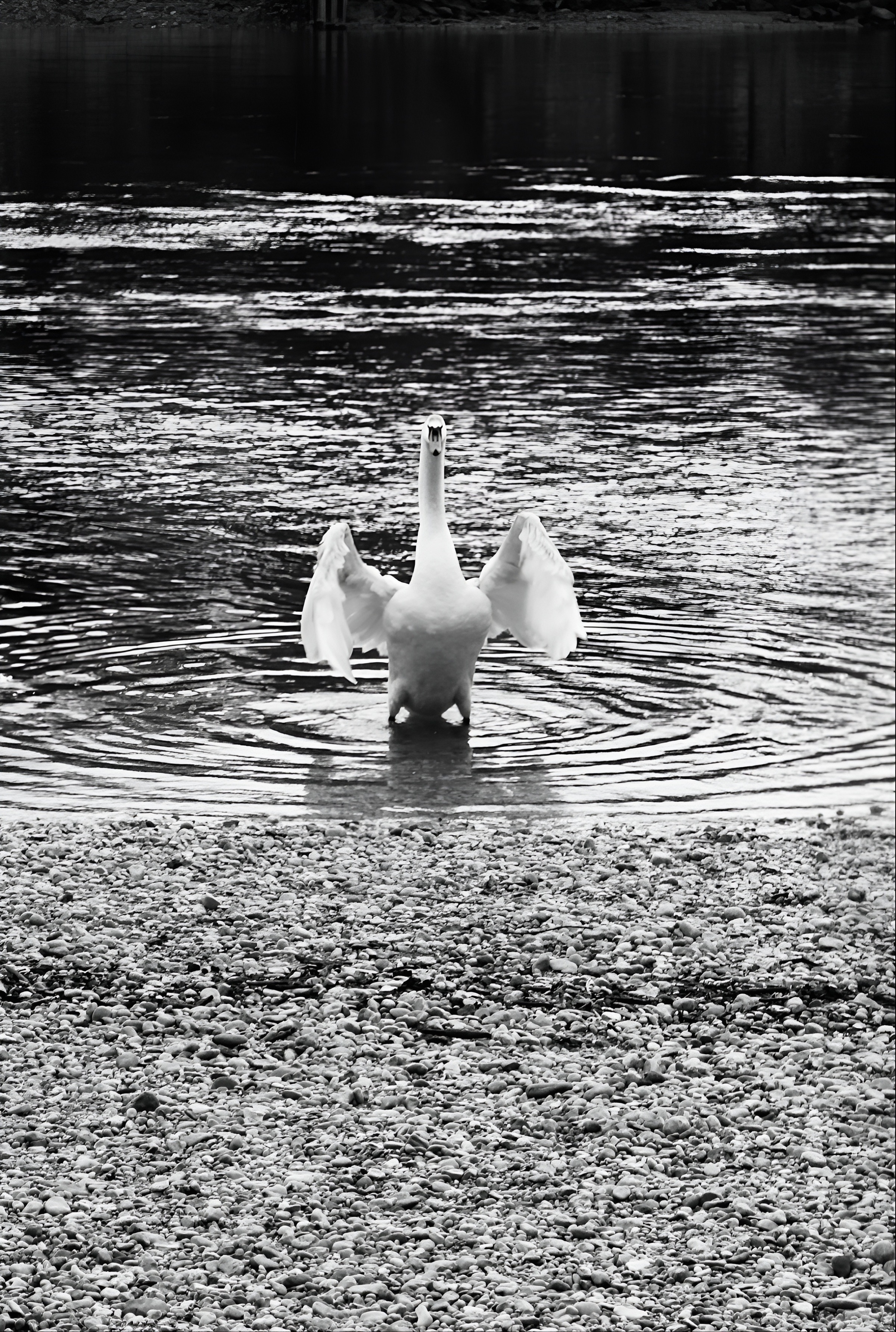 Was die Wunden nicht nehmen konnten