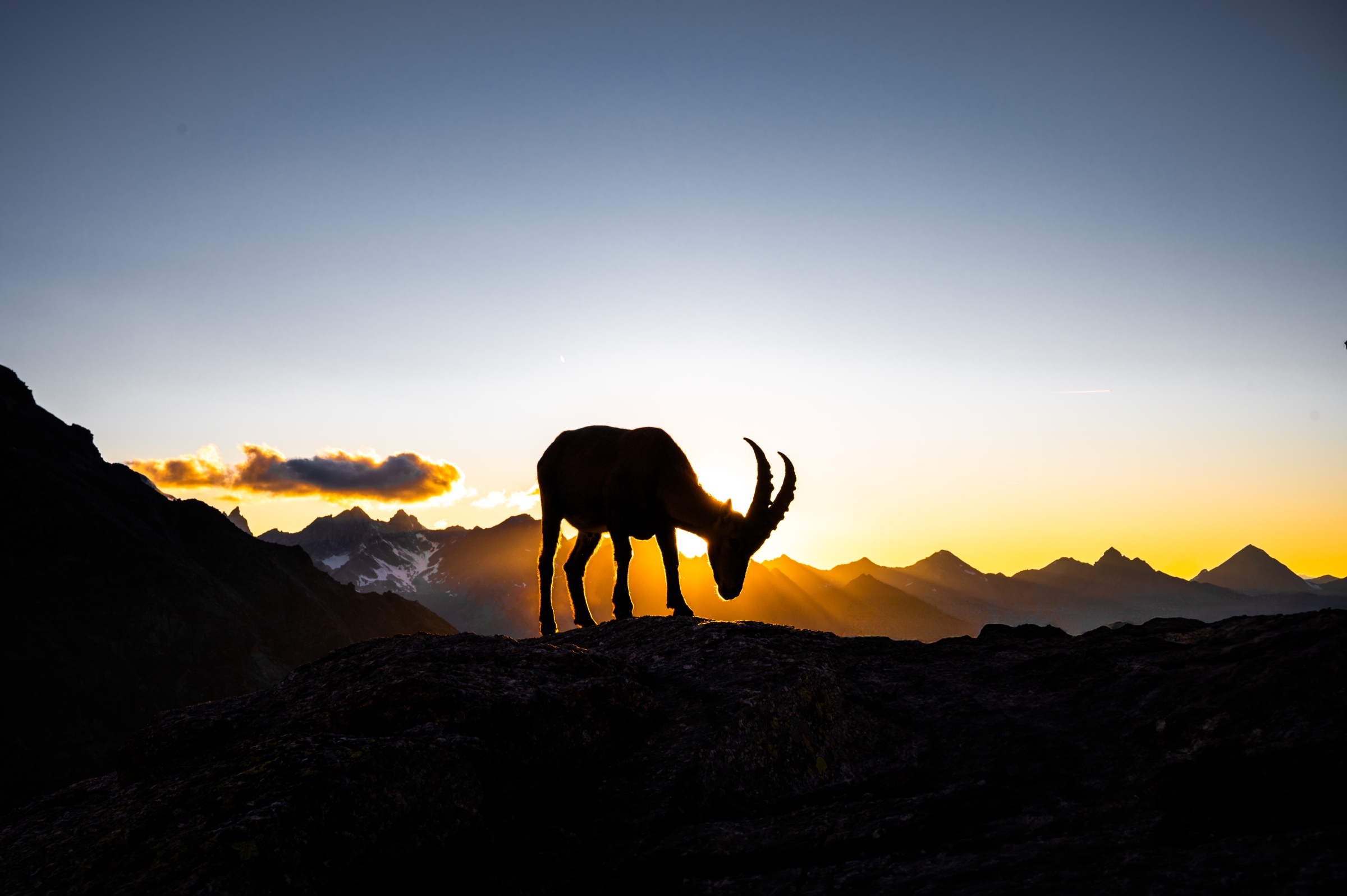 Dort, wo das Licht die Stille berührt.