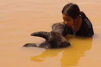 Emotionen im Wasser, Emotionen im Leben!