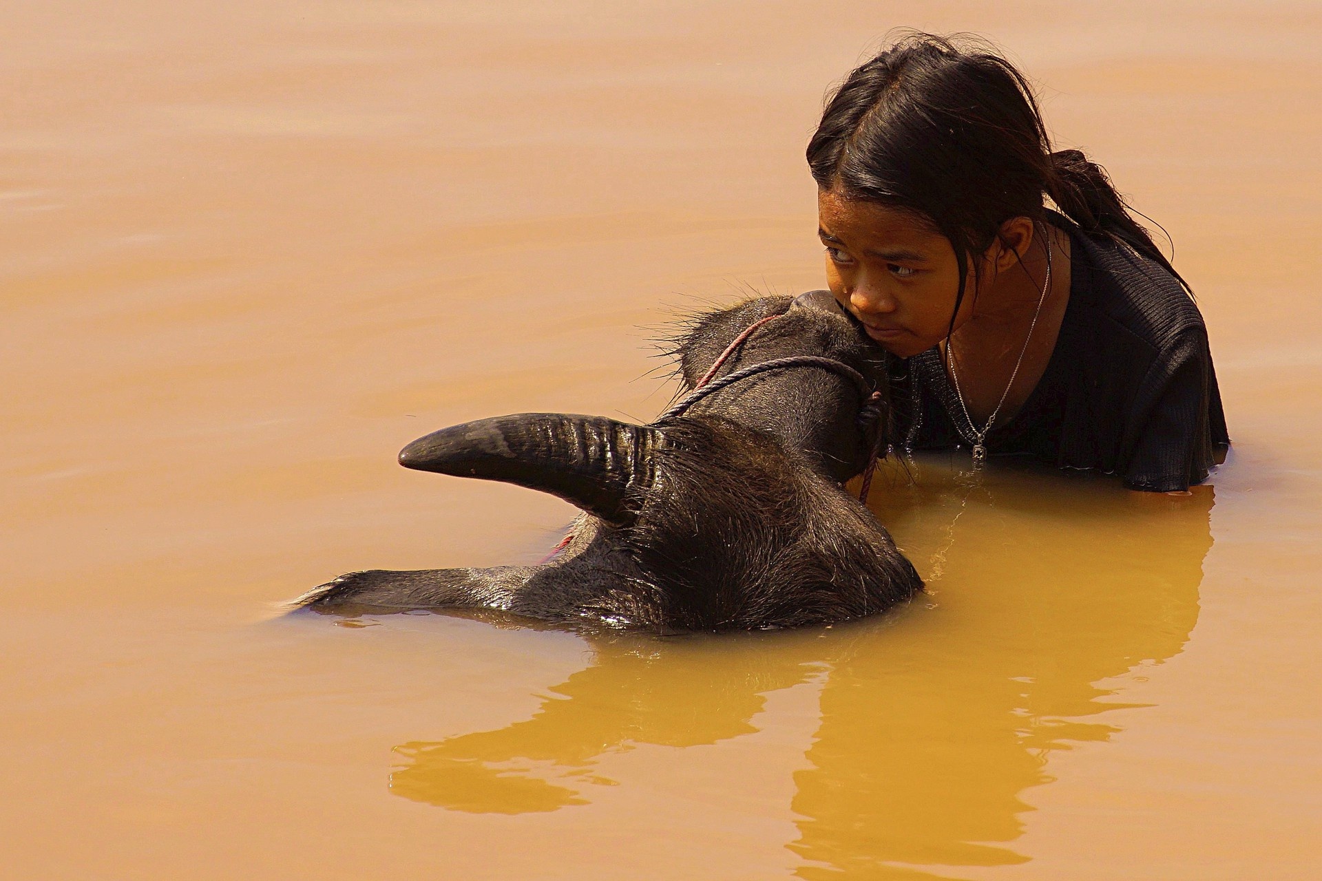 Emotionen im Wasser, Emotionen im Leben!