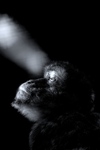 Look, there is always a light