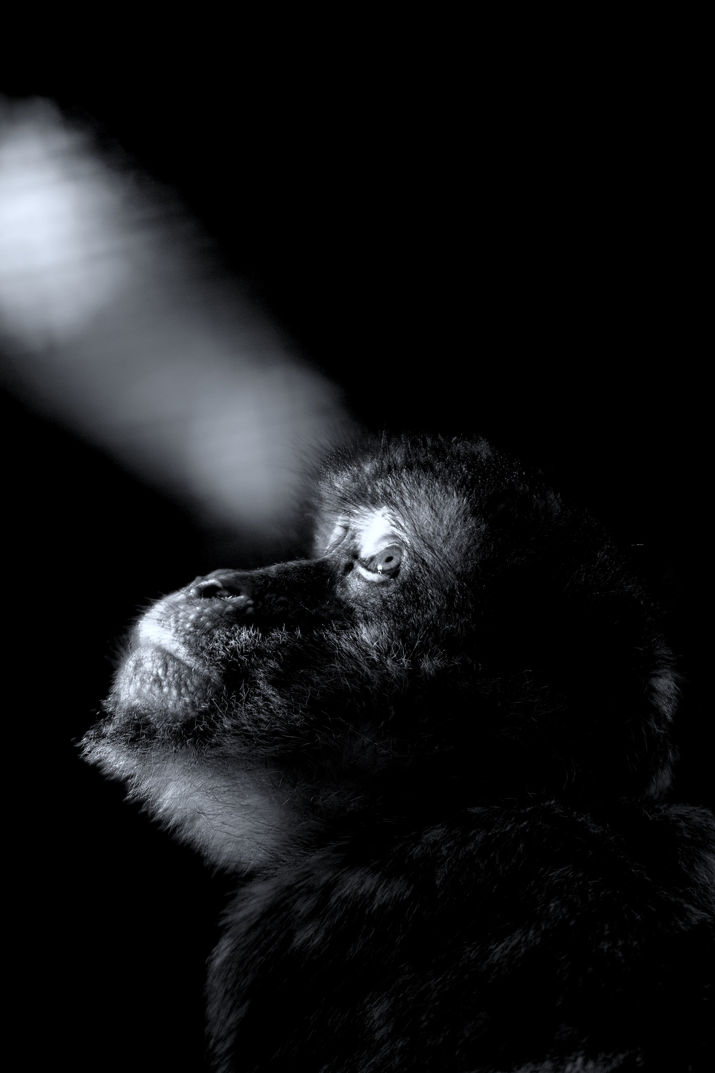 Look, there is always a light