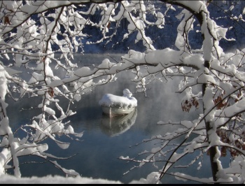 La nature est son âme