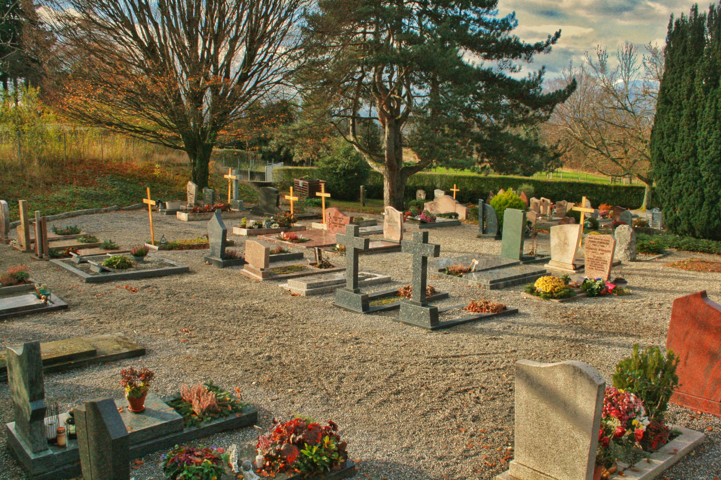 Le silence des larmes