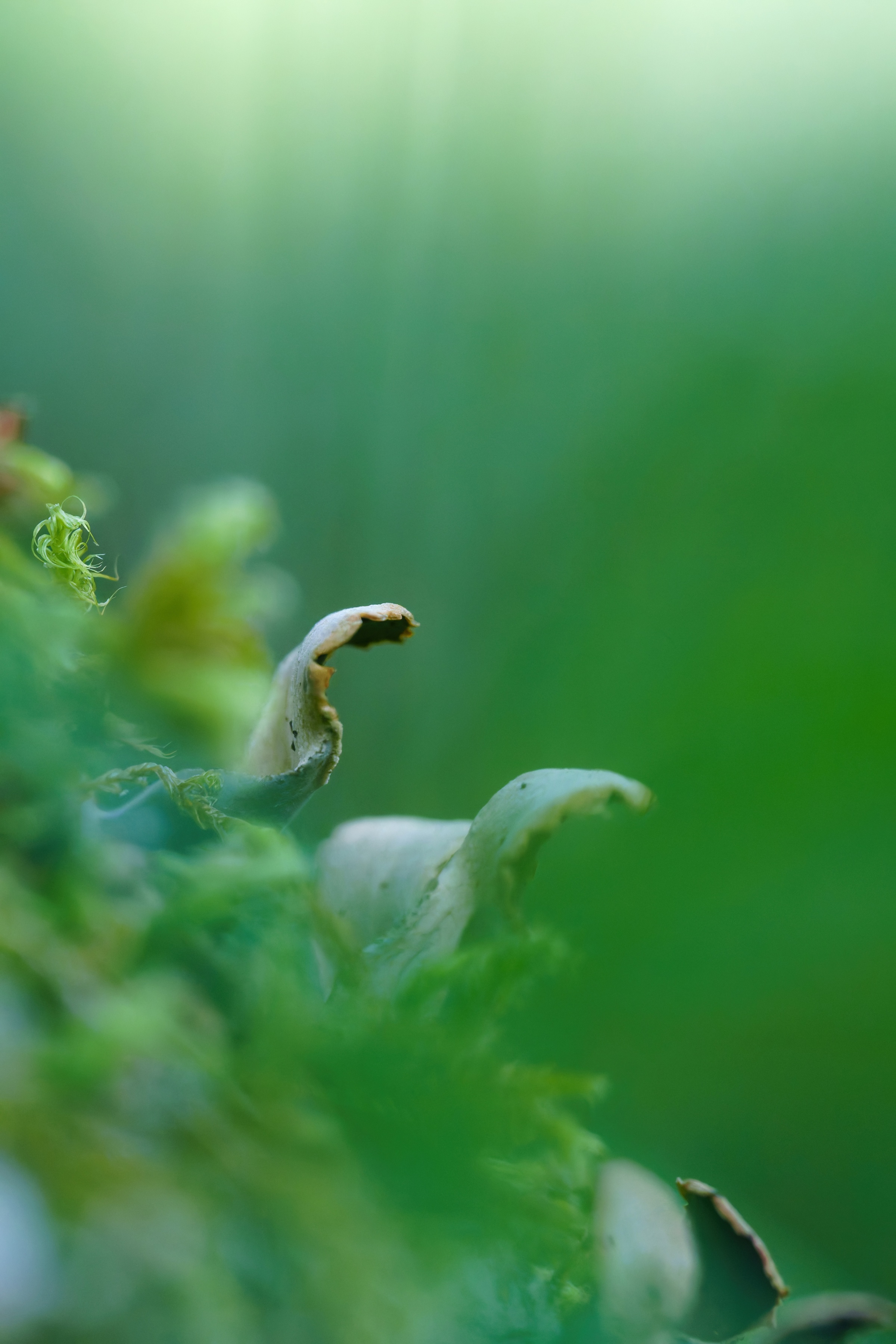 Profondeur de l'âme