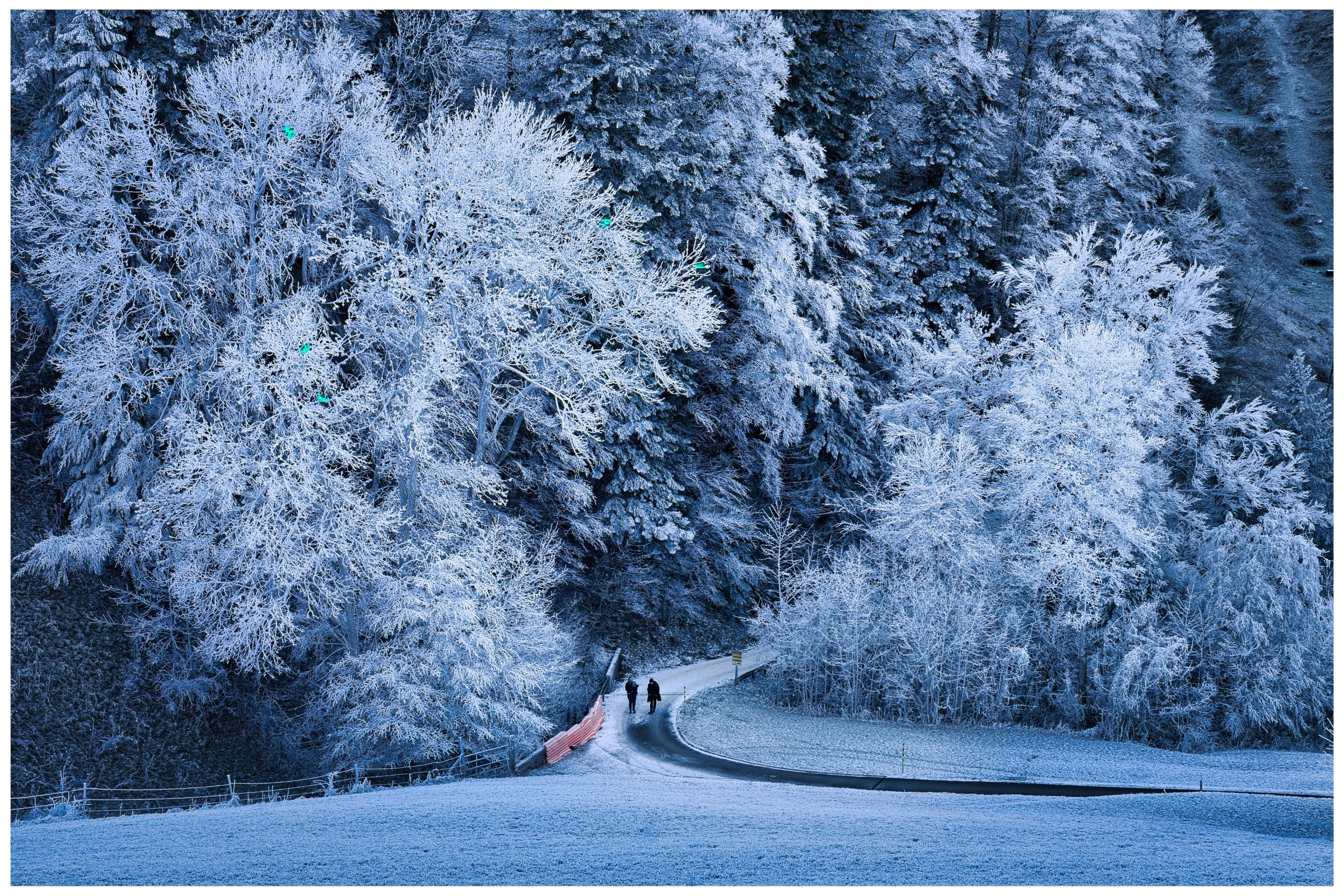 Frosted